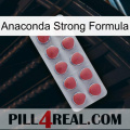 Anaconda Strong Formula 18